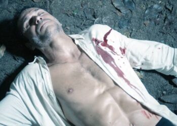 Vinicius em Terra e Paixão